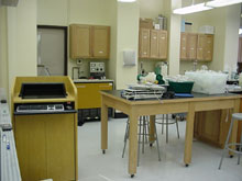 Aven Nelson Building  Room 207. Click on photo for larger image.